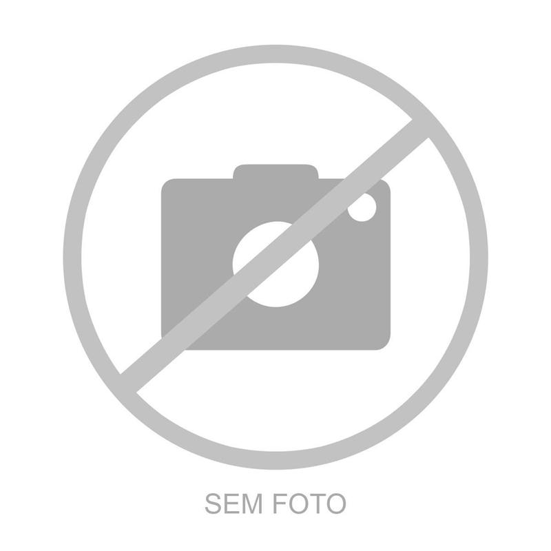 BOBINA IGNICAO UNIVERSAL 2 PINO C/ RESISTENCIA PARA CARRO CARBURADO